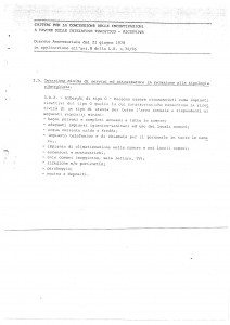 Perizia Lino integrale_Pagina_21